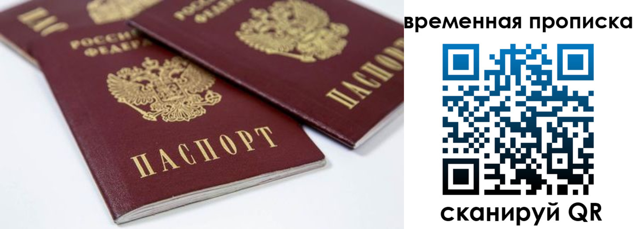 пропишу в квартире в Севастополе